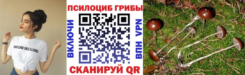 OMG сайт  Каменск-Шахтинский  Псилоцибиновые грибы GOLDEN TEACHER 